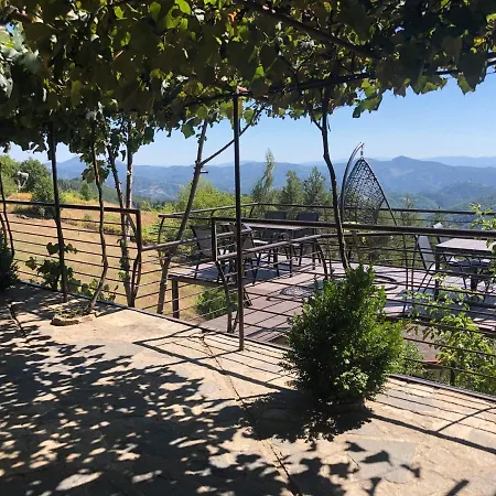 александрова 1