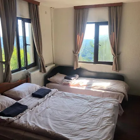 александрова 1