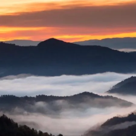 александрова 1 Zlatograd