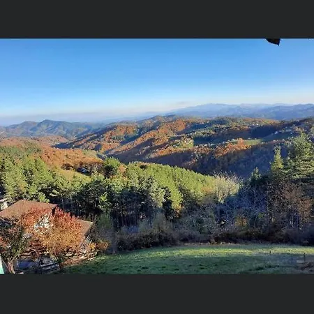 александрова 1 Zlatograd