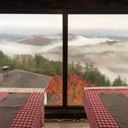 александрова 1