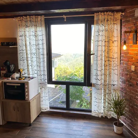 александрова 1 3*