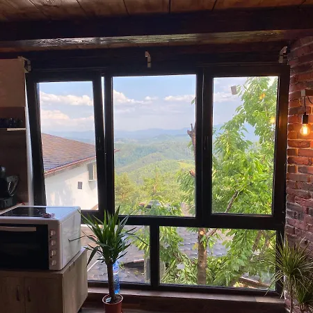 александрова 1