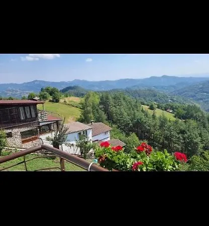 александрова 1 Zlatograd