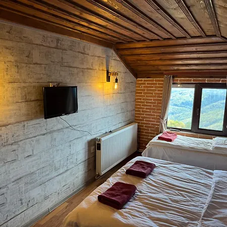 александрова 1