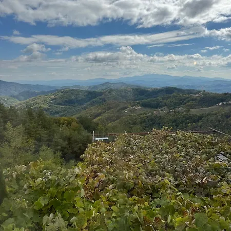 александрова 1 3*