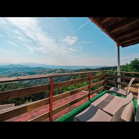 александрова 1 3*