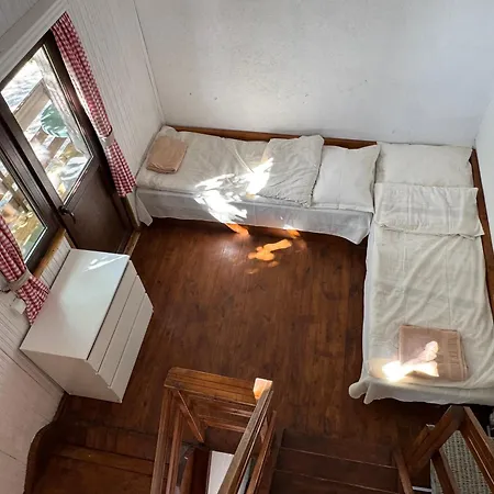 александрова 1 Zlatograd