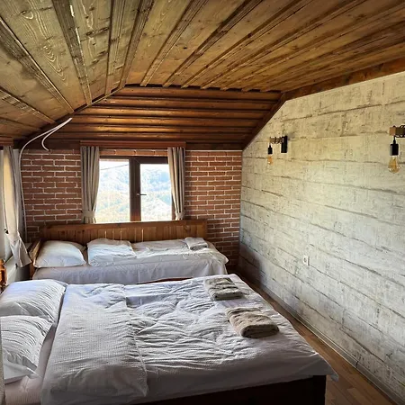 александрова 1 Гостевой дом