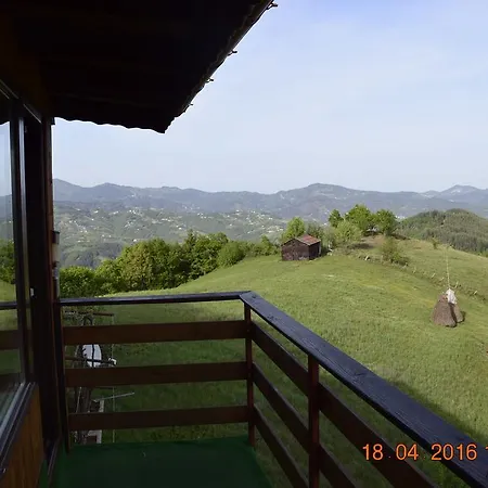 александрова 1 Gæstehus 3*