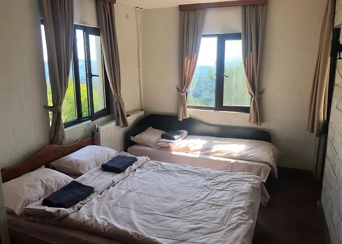 александрова 1