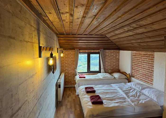 Pensjonat александрова 1 3*