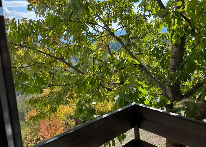 Pensjonat александрова 1 Złatograd