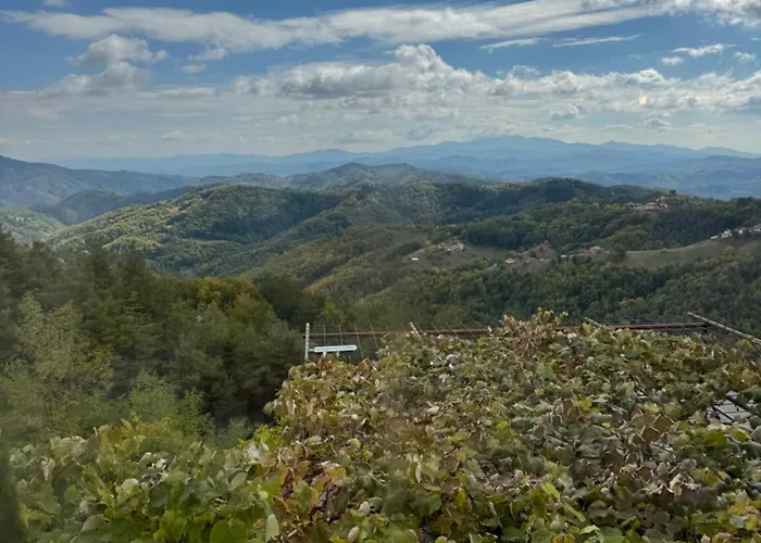 александрова 1 3*