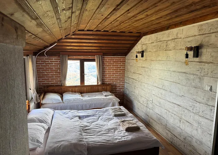 александрова 1 Pensjonat