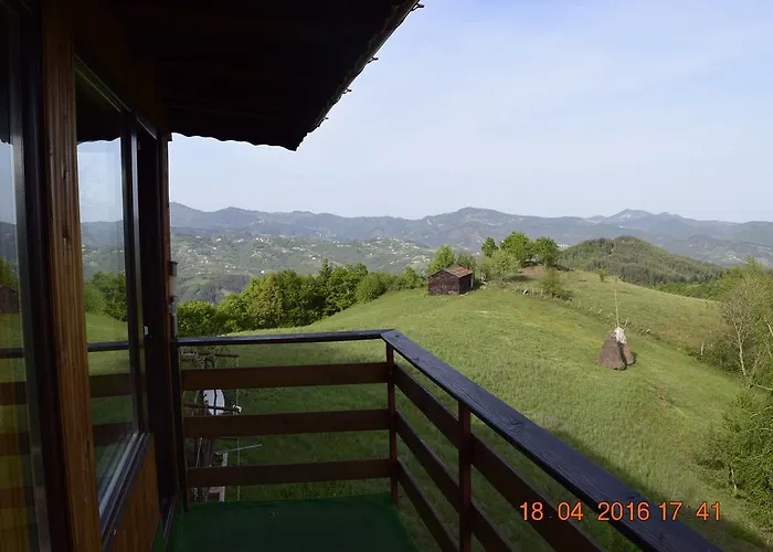 александрова 1 Pensjonat 3*