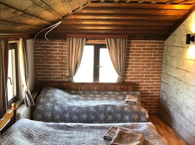 Pensjonat александрова 1 Złatograd